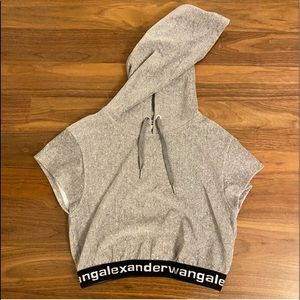 Alexander Wang Velvet cropped hoodie